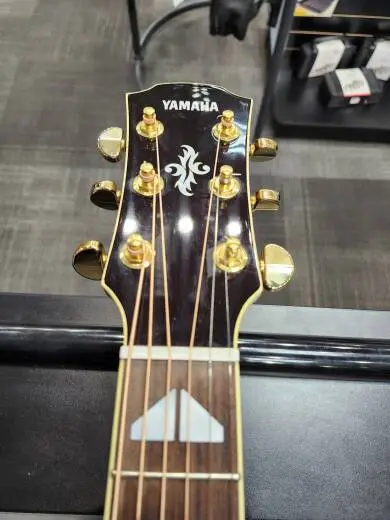 Yamaha - APX1000 CRB 2